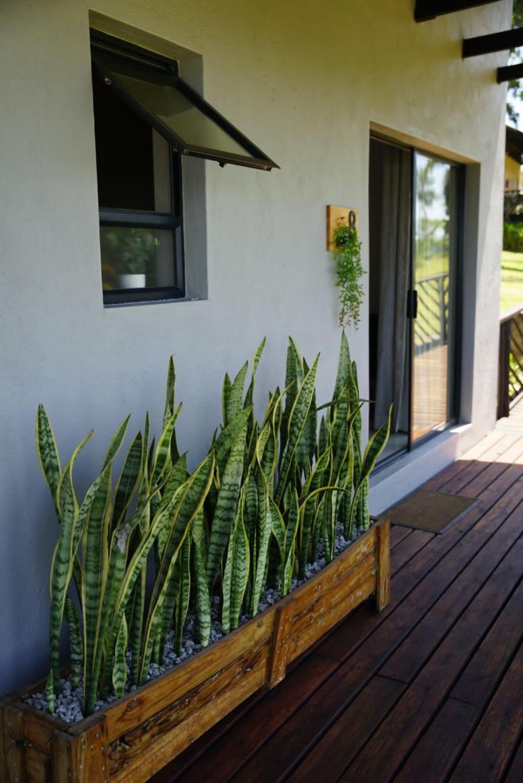 Nabana Lodge Hazyview Zewnętrze zdjęcie